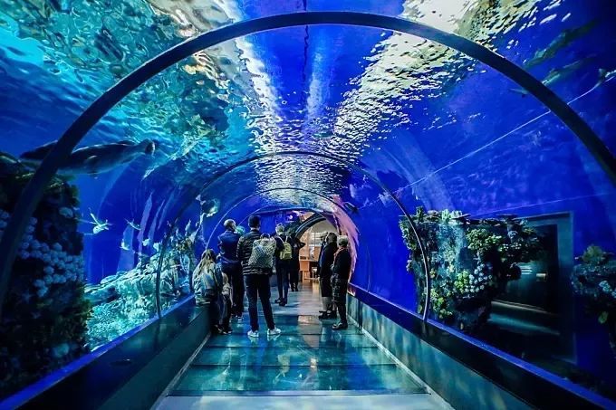 水族工程