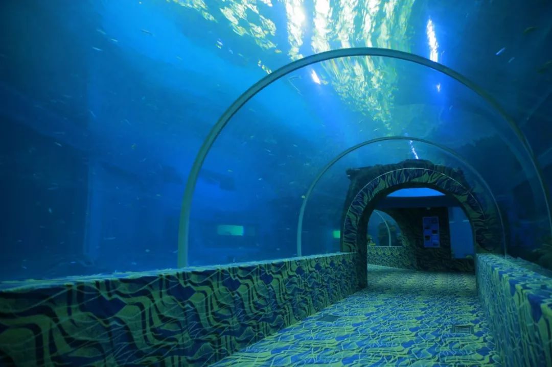 海洋馆施工