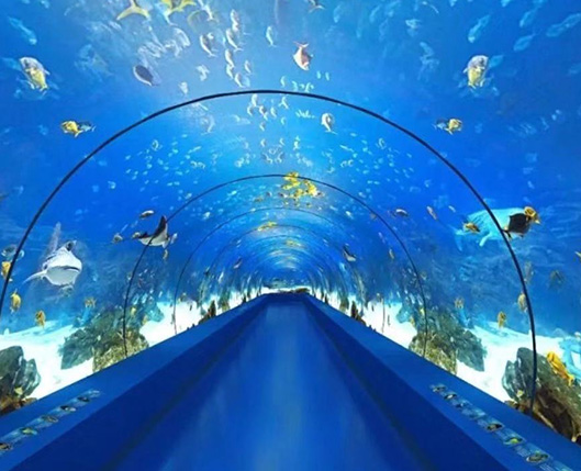 海洋馆设计.jpg